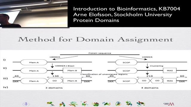 Protei Domain Evolution смотреть онлайн