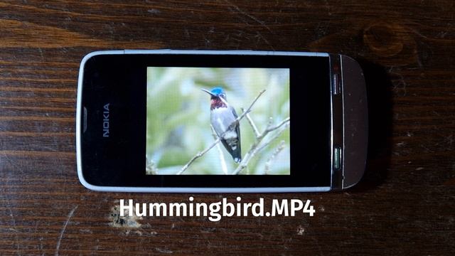 Nokia's WEIRD Smartphone: Nokia Asha - Phones I've never loved #1 | Disrepair смотреть онлайн