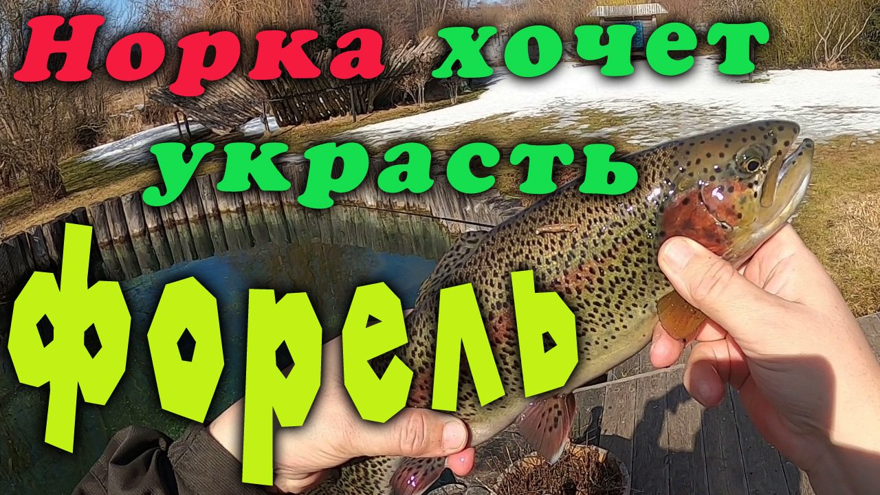 Рыбалка 2021