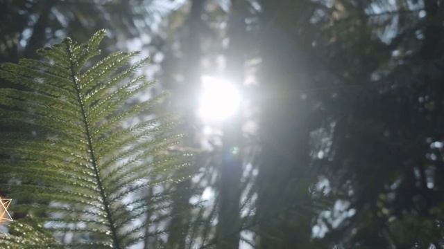 Мощная медитация на целостность? смотреть онлайн