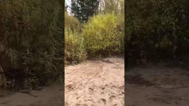 Рыбалка на реке Великая,Никольская ГЭС смотреть онлайн