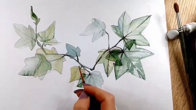 Акварель для новичков. Ветка плюща. смотреть онлайн
