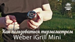 Как пользоваться термометром Weber iGrill Mini