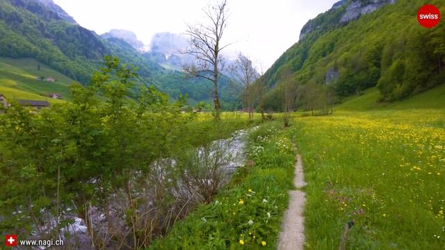 ???? Secret Location In Switzerland With Flowers In A Beautiful Landscape: Appenzell 4K HDR | #swis