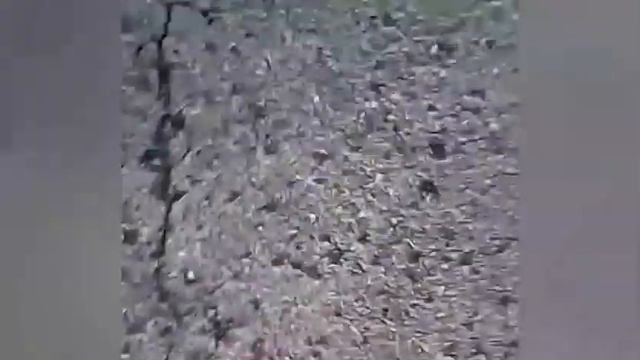 Пошли смотреть на поезда . Что случилось? смотреть онлайн