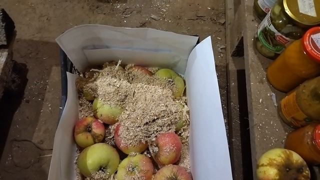 Хранение яблок в погребе в опилках - мой метод в подробностях смотреть онлайн