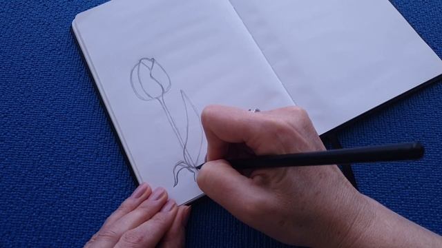 Простые рисунки || Как нарисовать тюльпан пощагово|Простые рисунки карандашом. Как рарисовит цветок смотреть онлайн