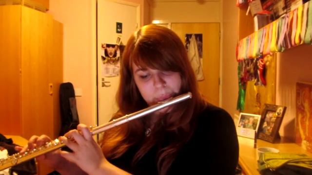 Pirates of the Caribbean - Medallion Calls - Flute cover. (Including notes.) смотреть онлайн