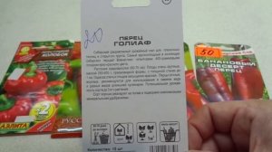 СИБИРСКИЕ ПЕРЦЫ -  ГИГАНТЫ!  СОРТ ГОЛИАФ. Обзор Ольги Черновой.