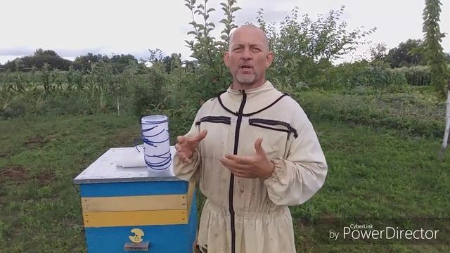 Цветёт подсолнух - взятка нет. Смотри и будешь знать что делать! смотреть онлайн