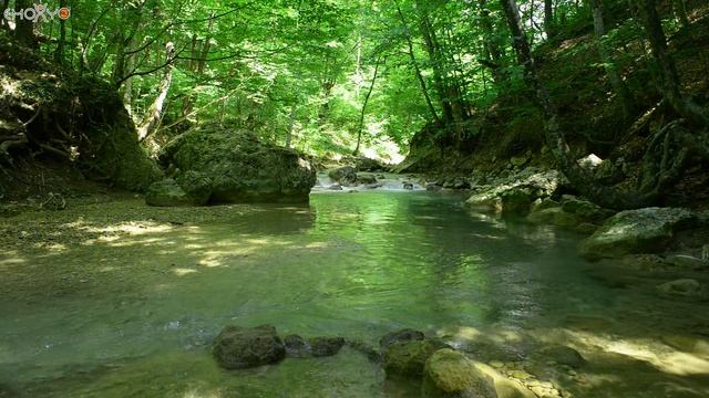Плавное течение смотреть онлайн