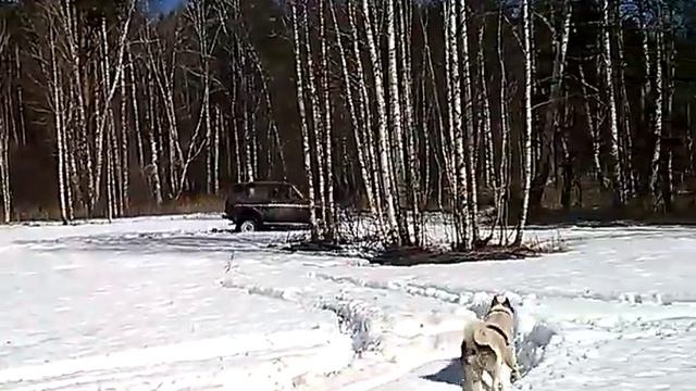 Заваренный дифференциал на ниве по снегу. Нива 4х4 смотреть онлайн
