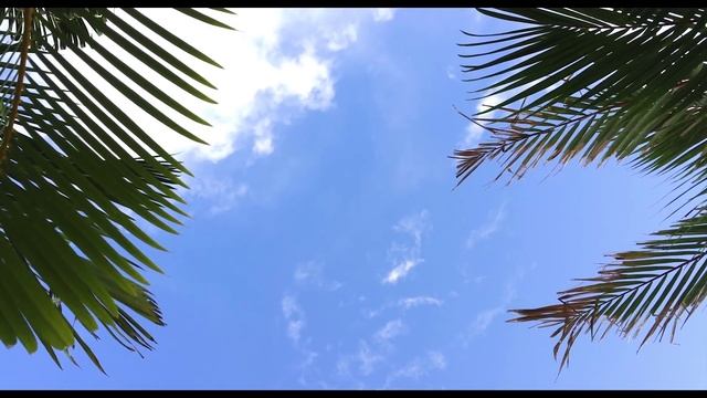 Девушка моей мечты под гипнозом ( Girl Of My Dreams ) смотреть онлайн