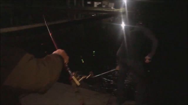 Осетровая рыбалка ночью. Клёвое место, Лосиный остров. смотреть онлайн