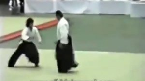 Айкидо Стивен Сигал