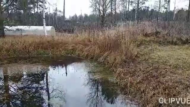 А ПОЗДНЯЯ ОСЕНЬ ТИХА И ПРЕЛЕСТНА!!! смотреть онлайн