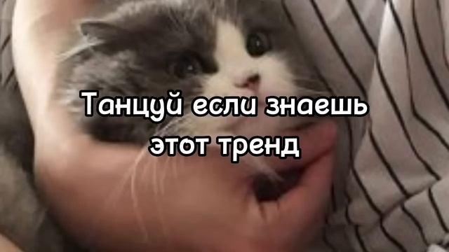 ?Танцуй если знаешь этот тренд тикток тренды 2023года? смотреть онлайн