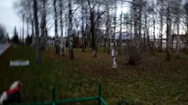 Кавалер Кинг Чарльз спаниель- тренировка)Котлас