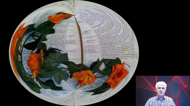 Сыновья Скевы. смотреть онлайн