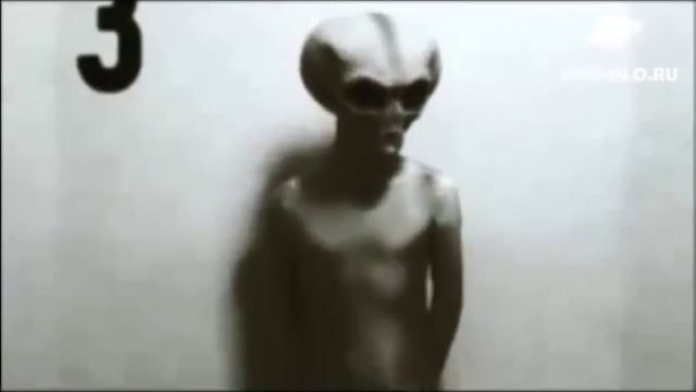 Инопланетяне видео смотреть онлайн