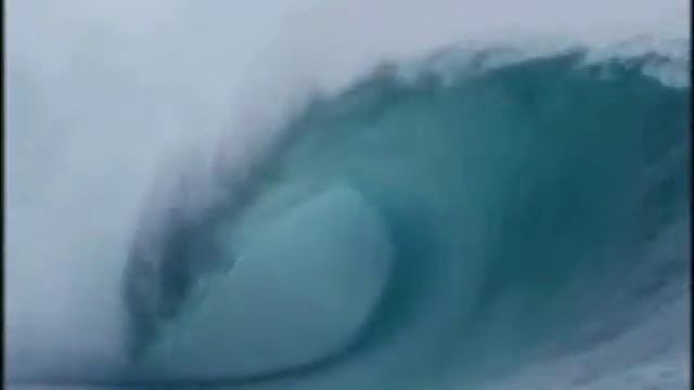 FLMDJJ-Film-Dump Fleet and the Great Pacific Garbage Patch смотреть онлайн