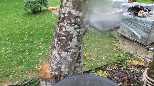 Арбористика‼️Аккуратно снимаем сломанное дерево?,зависшее над забором и проводами смотреть онлайн