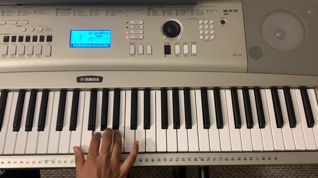Keeravani Iravile - Piano Cover | TRIBUTE TO SPB | Paadum Paravaigal | Ilayaraja | SPB | Janaki смотреть онлайн