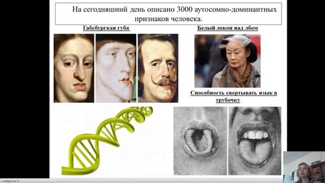 Щербатова Тема 1 смотреть онлайн