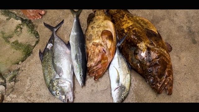 Indonesia Travel & Spearfishing - THE QUEST смотреть онлайн