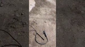 рульовий вал з Бичка на Газель.Рулевой вал с Бычка на газель