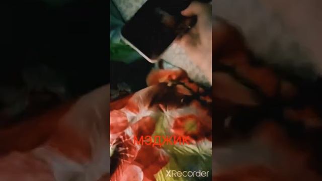 мой новый чехол с ? на honor 8 A смотреть онлайн