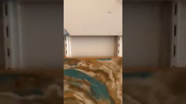 The Destin Pearl | Art Gallery