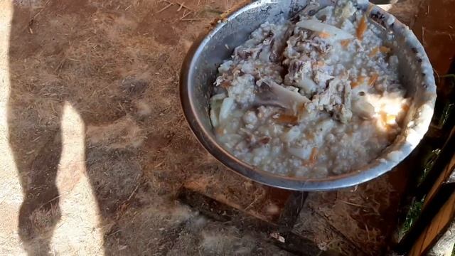 Лайки едят плохо/ Стоит жара/ смотреть онлайн