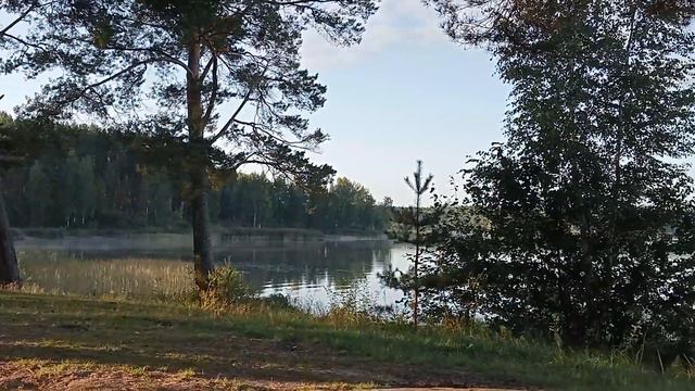 ВВолочёк водохранилище 12 сентября 2023 г. смотреть онлайн