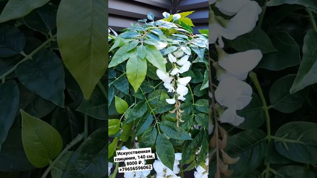 Искусственное дерево глициния смотреть онлайн