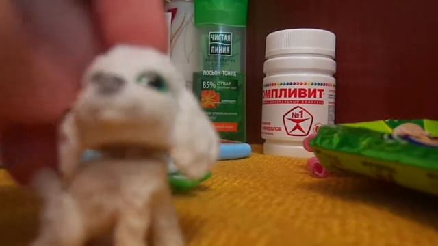 Новости:Они больные смотреть онлайн