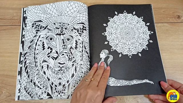 РАСКРАСКА-АНТИСТРЕСС TOTAL BLACK. СОВА смотреть онлайн