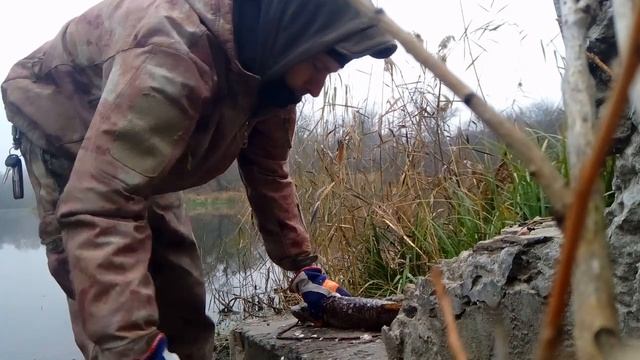 Как почистить щуку на рыбалке смотреть онлайн