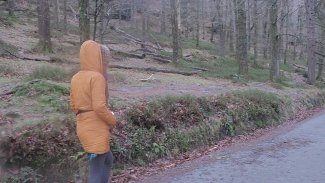 Travel: Ireland - Exploring Swords, Dublin & Wicklow County смотреть онлайн