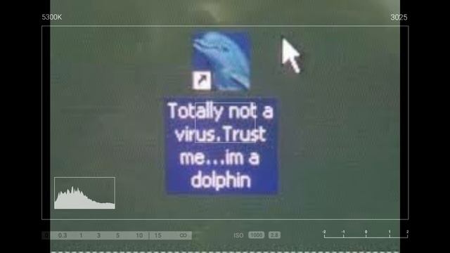 seeing totally not a virus trust me im a dolphin be like смотреть онлайн