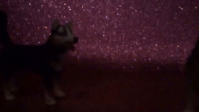 /SCHLEICH/ клип: «Между нами километры и города...» / смотреть онлайн