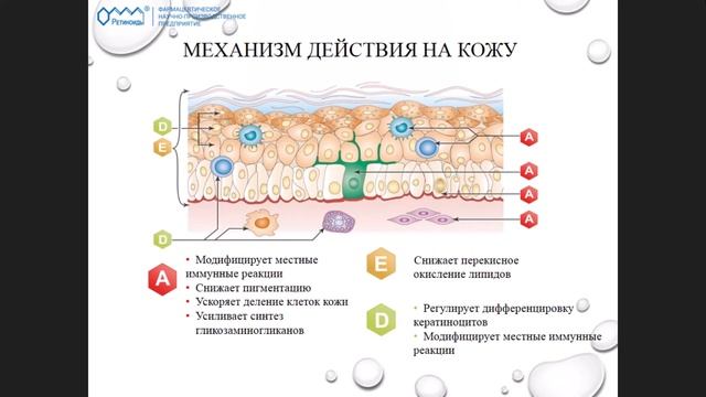 Ксероз (сухость кожи): причины возникновения и основные направления коррекции смотреть онлайн
