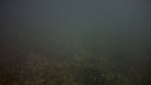 #Анапа НЫРЯЮ Подводная съёмка Рыбки! МОРЕ ЧИСТОЕ!!! смотреть онлайн