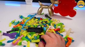 НАДУЛ, СКРУТИЛ И ОЖИВИЛ ШАРИКО СОБАКУ ДЛЯ МЕДВЕДЯ ВАЛЕРЫ