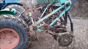 Как, чем и зачем подкармливать люцерну? Селитра и амофос