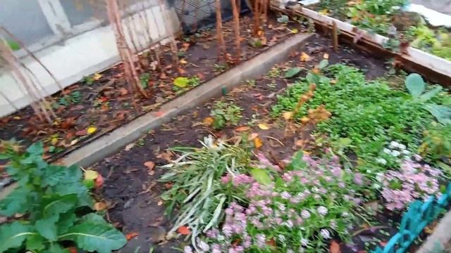 зима всё ближе,а работы ещё не закончены,обзор27 октября