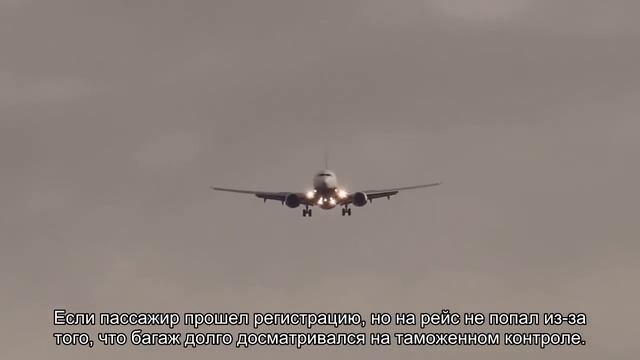 Как сдать билет авиакомпании Победа купленный онлайн: нормы и правила смотреть онлайн