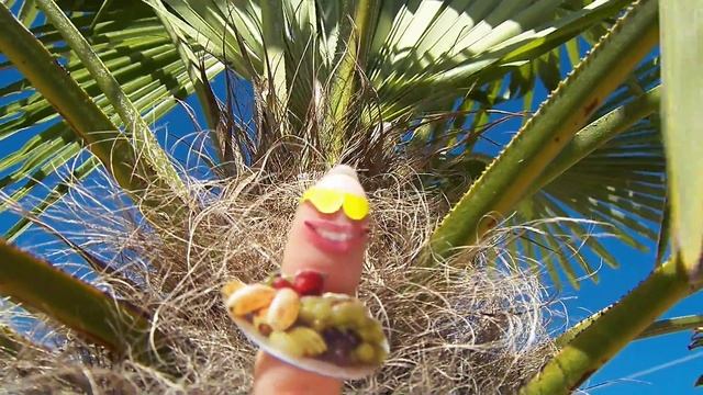 с днем рожденья Козерог Поздравляю тебя друг смотреть онлайн