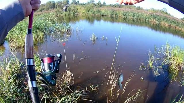 Рыбалка СПб Лахтинский разлив смотреть онлайн