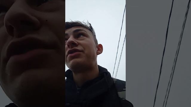 Какое масло выбрать лучшие и дешевле. смотреть онлайн